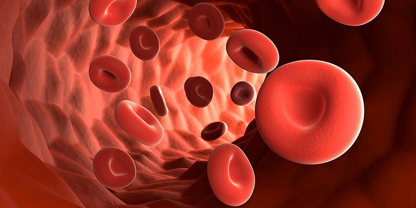 What Blood Reveals About Your Health